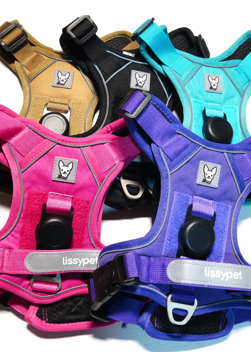 Los cinco colores del Arnés Pro: khaki, negro, turquesa, rosado y morado