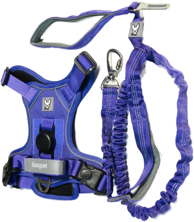 Arnés para perro Lissypet color morado con cinturón de seguridad