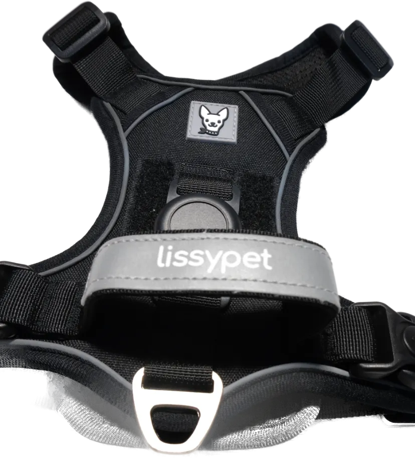 Arnés para perro Lissypet color negro con anilla de acero