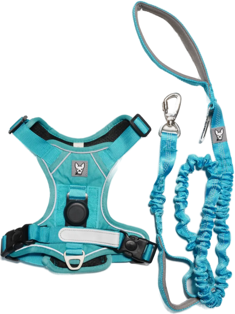 Arnés para perro Lissypet color turquesa con correa elástica